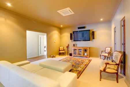 Theatre Room